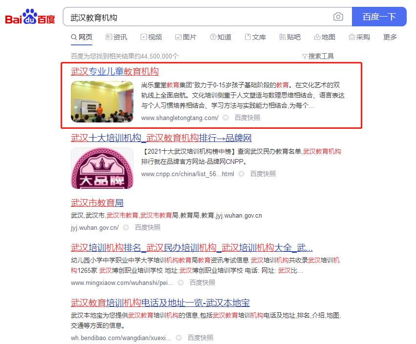 兒童教育、兒童托管機構優(yōu)化案例網站建設案例—武漢盛世互聯